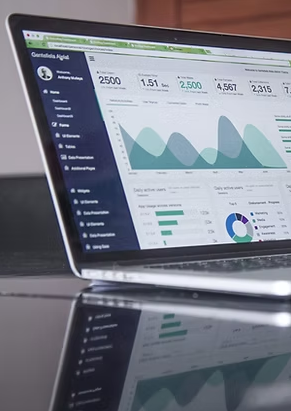 Supply Chain Stability & the Supply Disruption Manager